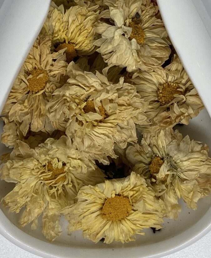 хризантема крупноцветковая