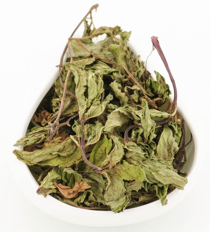 16023 Мята целый лист Египет